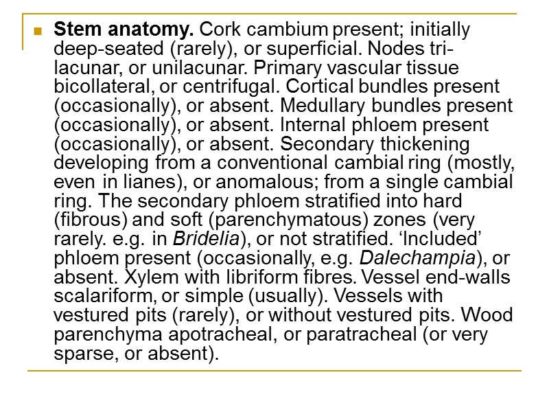 Stem anatomy. Cork cambium present; initially deep-seated (rarely), or superficial. Nodes tri-lacunar, or unilacunar.
